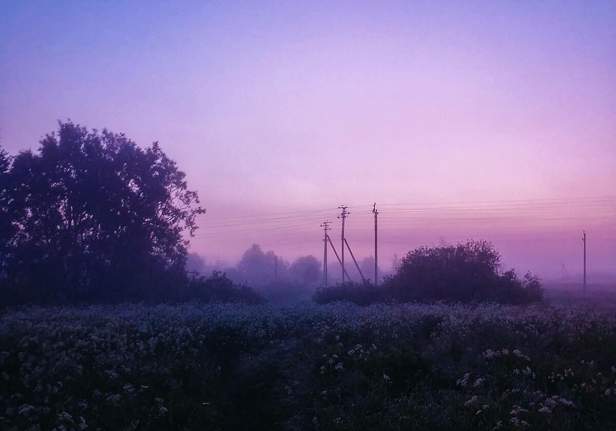 发现半岛体育-德国足协无意解雇勒夫 为本土欧洲杯“下大棋”？